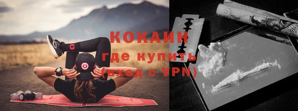 мдпв Пересвет