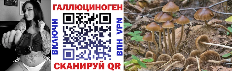 Псилоцибиновые грибы Psilocybine cubensis  Учалы 