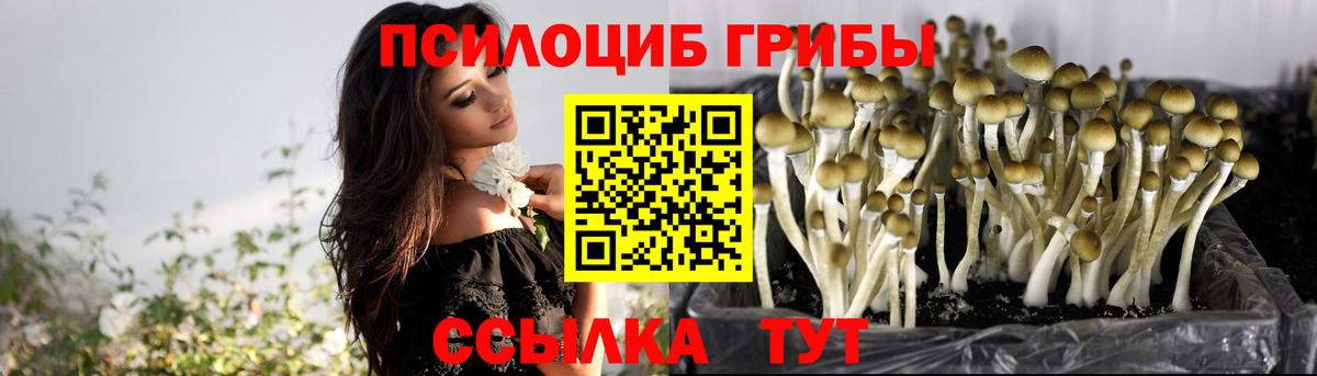 Псилоцибиновые грибы мицелий Учалы